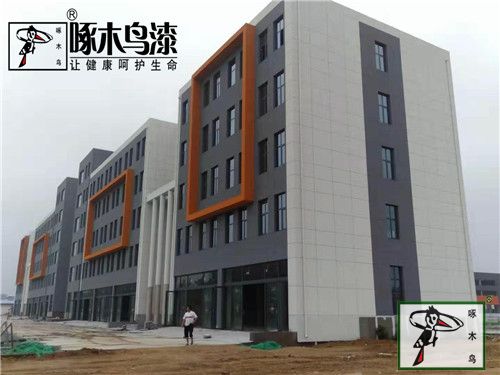  啄木鸟漆业集团 玉石漆 代理商  加盟商