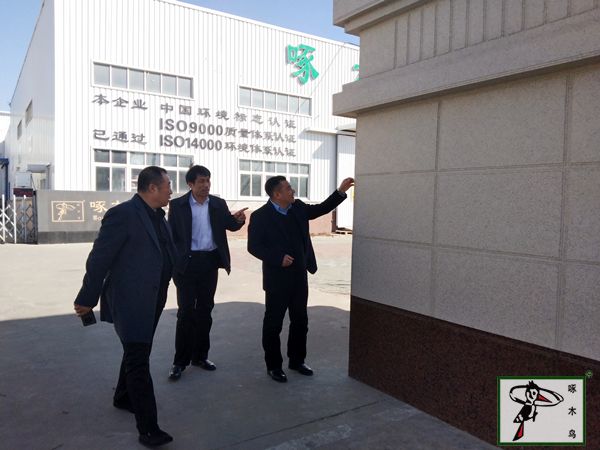 啄木鸟漆业集团 水包水 水包砂 保涂料  涂料品牌